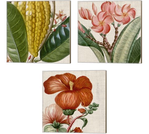 Cropped Turpin Tropicals 3 Piece Canvas Print Set by Vision Studio