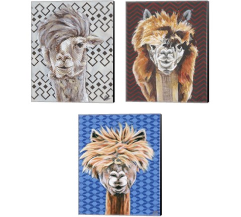 Animal Patterns 3 Piece Canvas Print Set by Jennifer Rutledge
