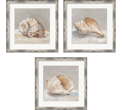 Impressionist Shell Study 3 Piece Framed Art Print Set by Ethan Harper