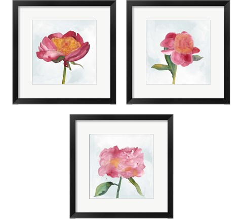 Joyful Peony 3 Piece Framed Art Print Set by Alicia Ludwig