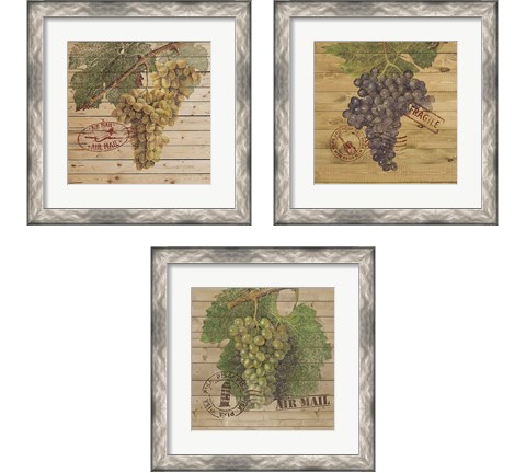Grape Crate 3 Piece Framed Art Print Set by Nobleworks Inc.
