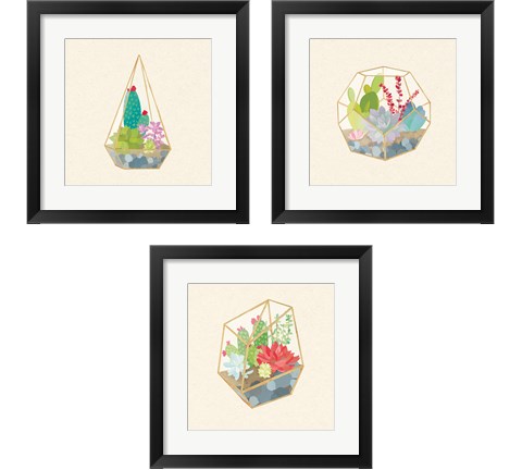 Succulent Terrarium 3 Piece Framed Art Print Set by Wild Apple Portfolio