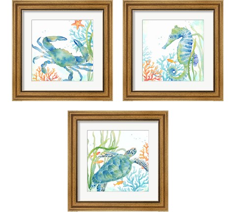 Sea Life Serenade 3 Piece Framed Art Print Set by Cynthia Coulter
