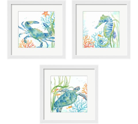 Sea Life Serenade 3 Piece Framed Art Print Set by Cynthia Coulter