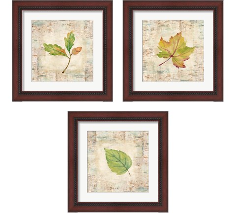 Nature Walk Leaves 3 Piece Framed Art Print Set by Cynthia Coulter