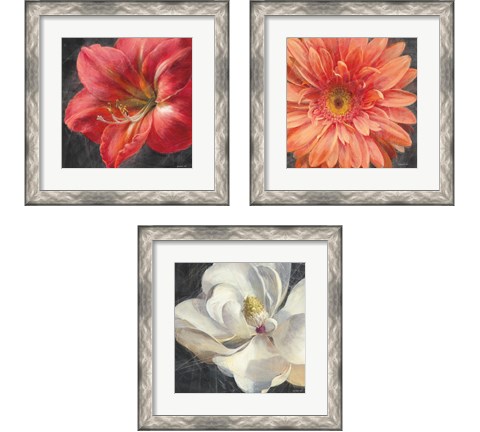 Vivid Floral 3 Piece Framed Art Print Set by Danhui Nai