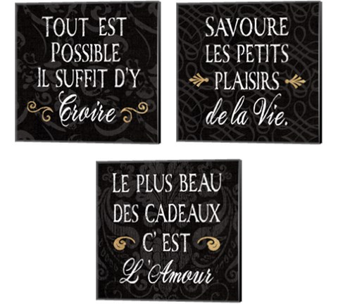 Inspirational Collage French on Black 3 Piece Canvas Print Set by Daphne Brissonnet