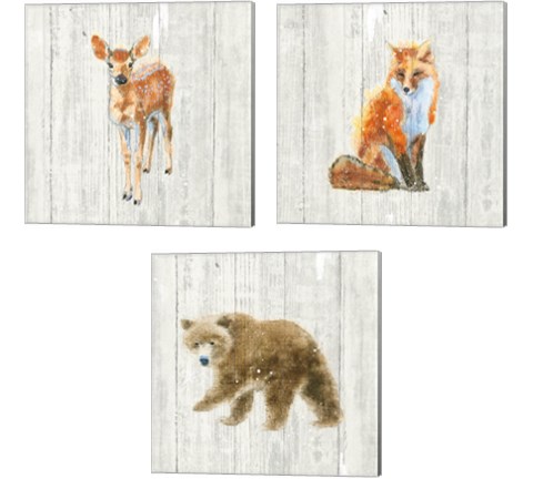 Into the Woods  3 Piece Canvas Print Set by Emily Adams