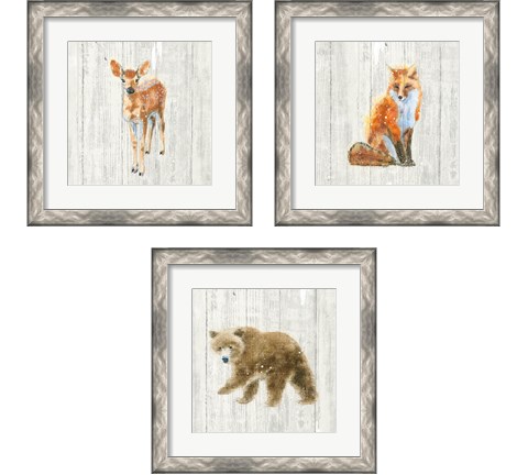 Into the Woods  3 Piece Framed Art Print Set by Emily Adams