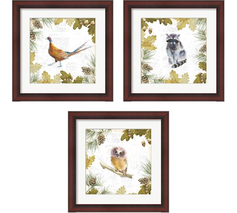 Into the Woods 3 Piece Framed Art Print Set by Emily Adams