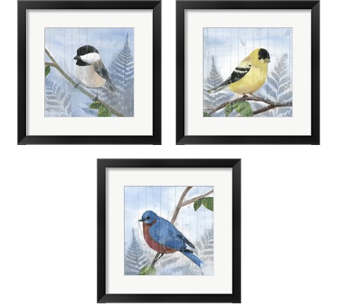 Eastern Songbird 3 Piece Framed Art Print Set by Alicia Ludwig