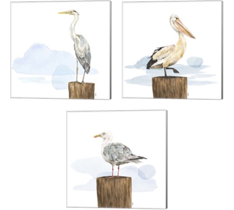Birds of the Coast 3 Piece Canvas Print Set by Tara Reed