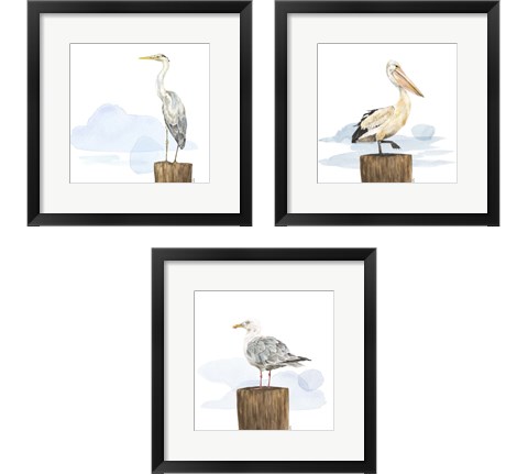 Birds of the Coast 3 Piece Framed Art Print Set by Tara Reed