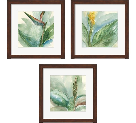 Exotic Flower 3 Piece Framed Art Print Set by Chris Paschke