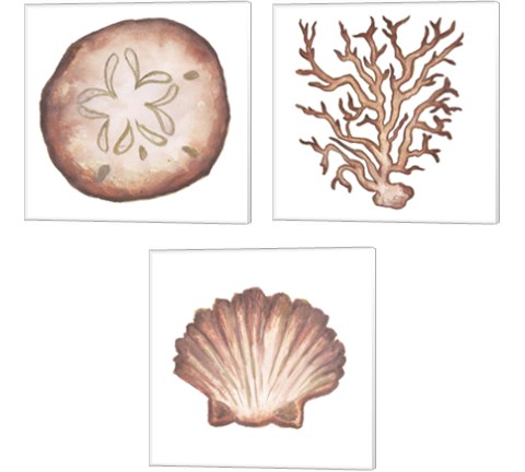 Coastal Icon Coral 3 Piece Canvas Print Set by Elizabeth Medley