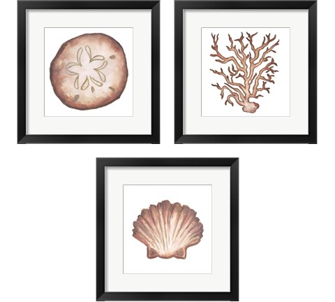 Coastal Icon Coral 3 Piece Framed Art Print Set by Elizabeth Medley