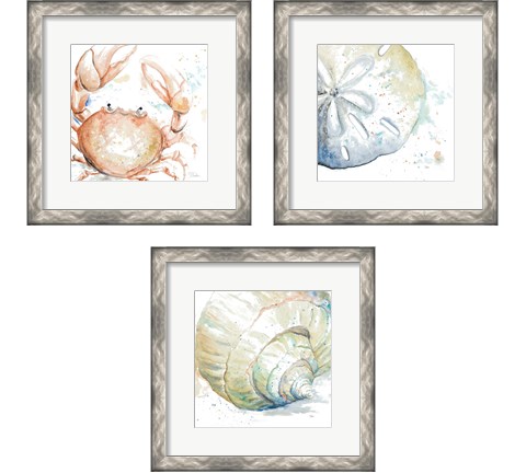 Water Sea Life 3 Piece Framed Art Print Set by Patricia Pinto