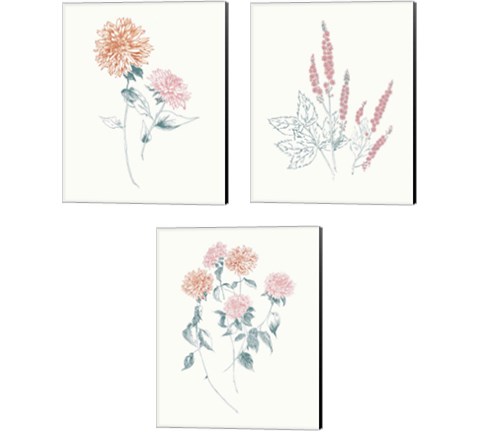 Flowers on White Contemporary Bright 3 Piece Canvas Print Set by Wild Apple Portfolio