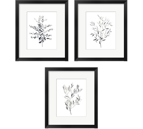 Paynes Grey Botanicals 3 Piece Framed Art Print Set by Emma Scarvey