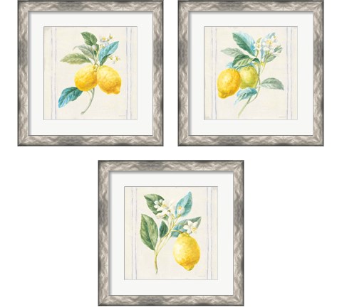 Floursack Lemons Sq Navy 3 Piece Framed Art Print Set by Danhui Nai