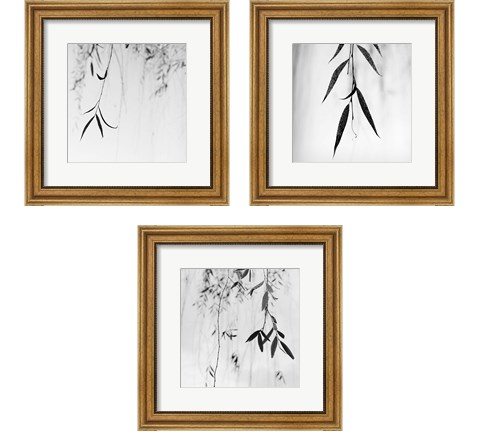 Willow Print 3 Piece Framed Art Print Set by Nicholas Bell