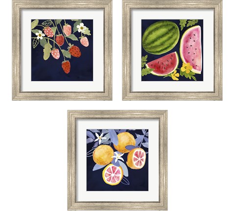 Fresh Fruit 3 Piece Framed Art Print Set by Victoria Borges