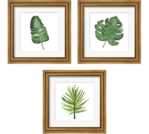 Leaves of the Tropics  3 Piece Framed Art Print Set by Hartworks