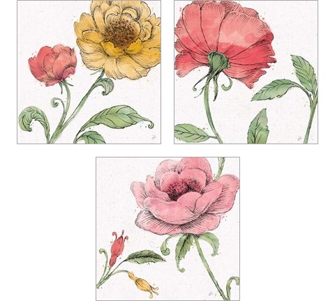 Blossom Sketches Color 3 Piece Art Print Set by Daphne Brissonnet