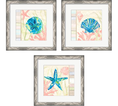 Pastel Coastal 3 Piece Framed Art Print Set by Julie DeRice