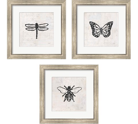 Insect Stamp BW 3 Piece Framed Art Print Set by Courtney Prahl