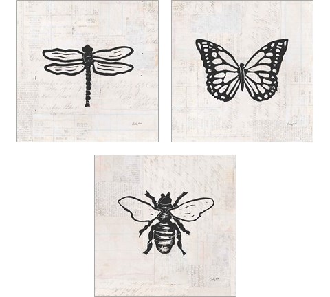 Insect Stamp BW 3 Piece Art Print Set by Courtney Prahl