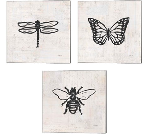 Insect Stamp BW 3 Piece Canvas Print Set by Courtney Prahl