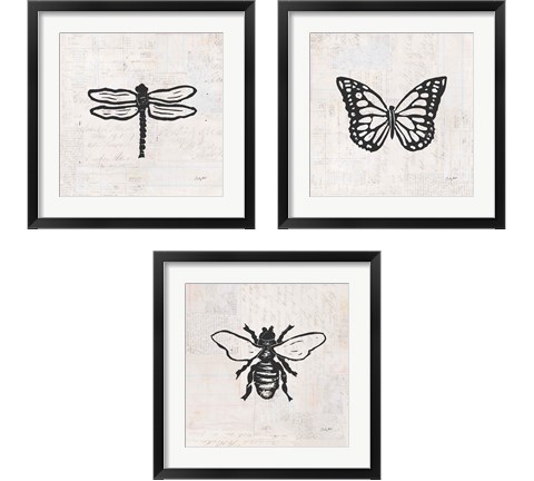 Insect Stamp BW 3 Piece Framed Art Print Set by Courtney Prahl