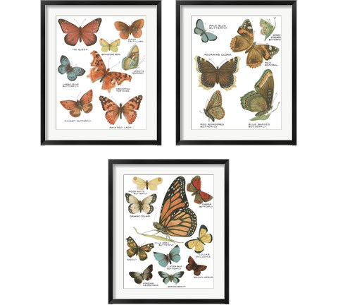 Botanical Butterflies Postcard White 3 Piece Framed Art Print Set by Wild Apple Portfolio