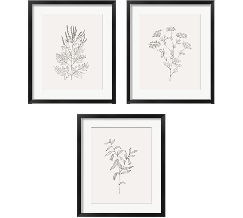 Wild Foliage Sketch 3 Piece Framed Art Print Set by Victoria Borges