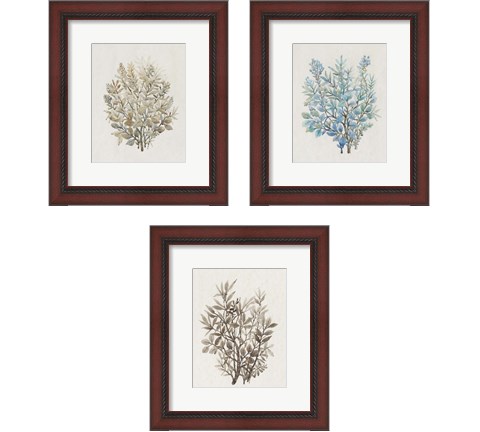 Leaf Arrangement 3 Piece Framed Art Print Set by Timothy O'Toole