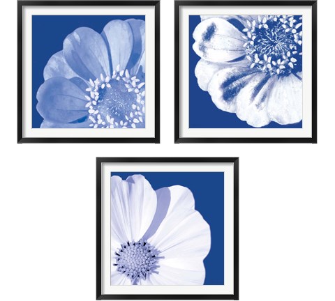 Flower Pop blue 3 Piece Framed Art Print Set by Marie-Elaine Cusson