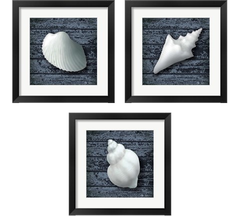 Seashore Shells Navy 3 Piece Framed Art Print Set by Marie-Elaine Cusson