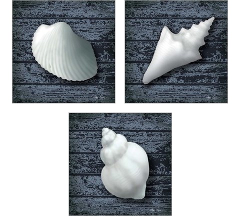 Seashore Shells Navy 3 Piece Art Print Set by Marie-Elaine Cusson