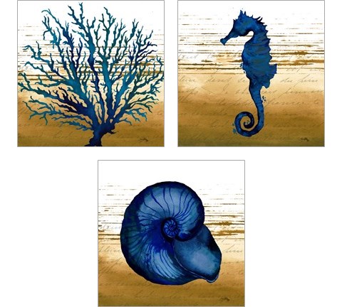 Coastal Blue 3 Piece Art Print Set by Elizabeth Medley