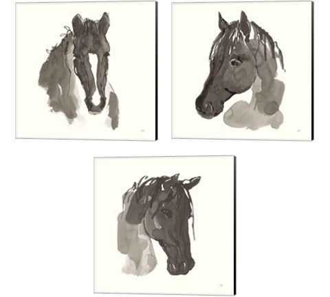 Horse Portrait 3 Piece Canvas Print Set by Chris Paschke