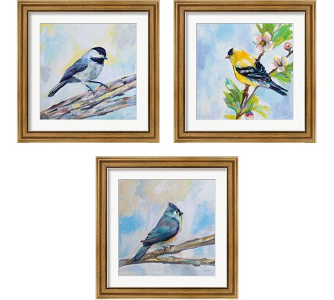 Birds on Blue 3 Piece Framed Art Print Set by Jeanette Vertentes