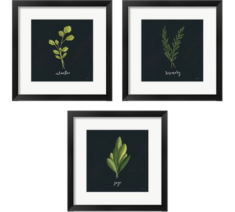 Herbs 3 Piece Framed Art Print Set by Becky Thorns