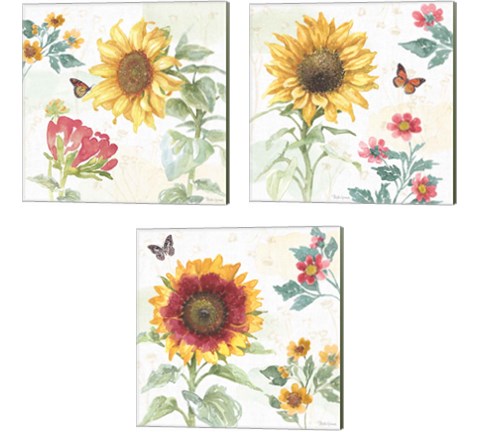 Sunflower Splendor 3 Piece Canvas Print Set by Beth Grove