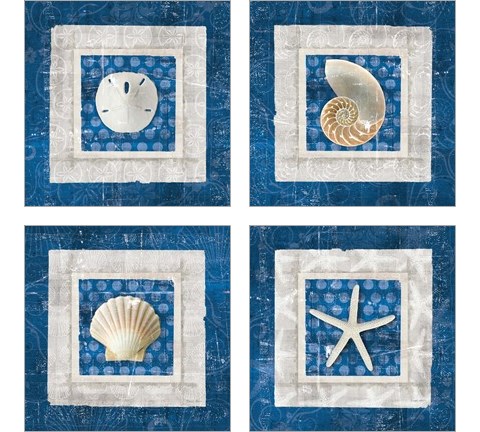 Sea Shell on Blue 4 Piece Art Print Set by Belinda Aldrich