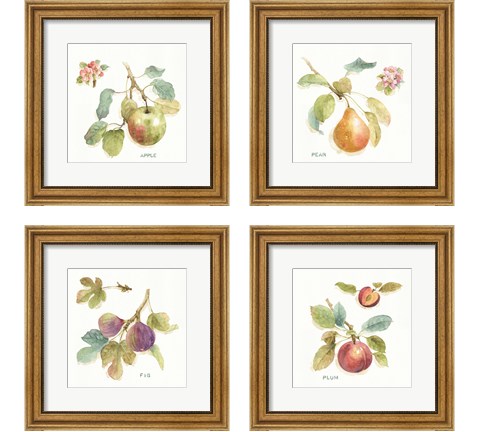 Orchard Bloom 4 Piece Framed Art Print Set by Lisa Audit