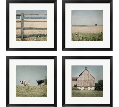 Neutral Country 4 Piece Framed Art Print Set by Elizabeth Urquhart