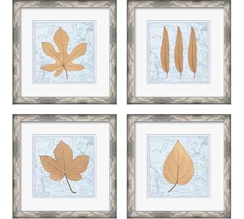 Nature's Profile 4 Piece Framed Art Print Set by Cory Bannister