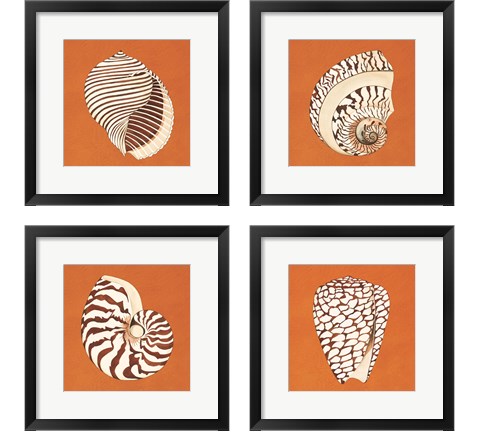 Cayman Quartet 4 Piece Framed Art Print Set by Judy Shelby