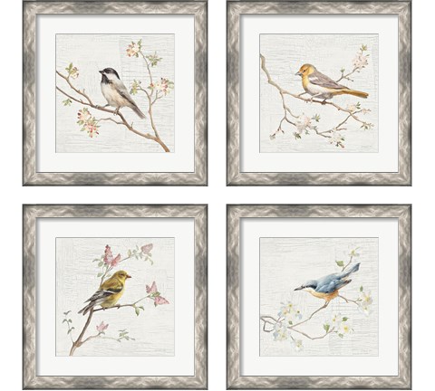 Vintage Bird 4 Piece Framed Art Print Set by Danhui Nai